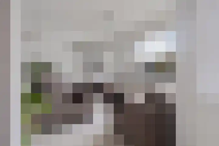 Martin Luther Kinglaan 460 Diemen thumbnail 26