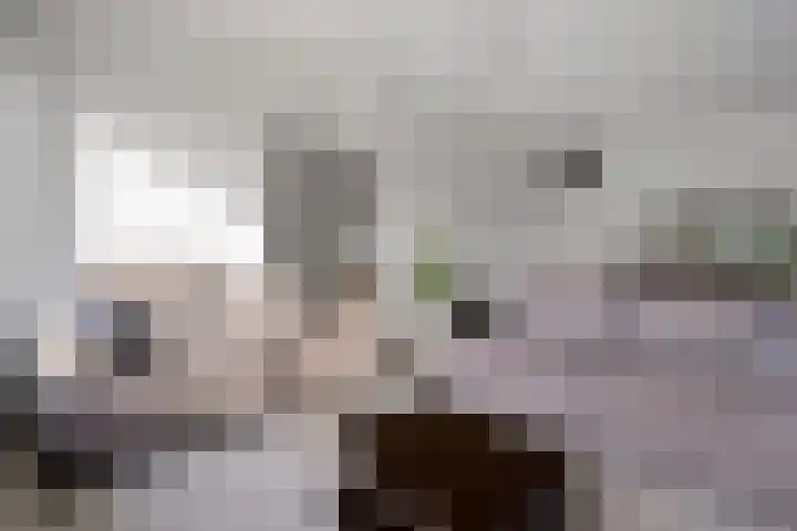 Martin Luther Kinglaan 460 Diemen thumbnail 28
