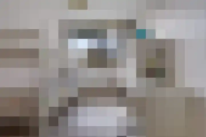 Martin Luther Kinglaan 460 Diemen thumbnail 31