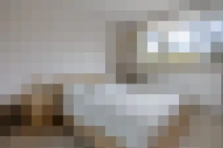 Martin Luther Kinglaan 460 Diemen thumbnail 33