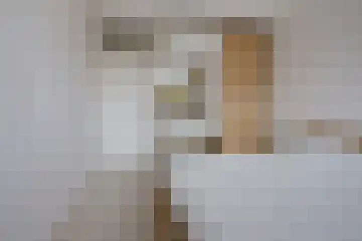 Martin Luther Kinglaan 460 Diemen thumbnail 34