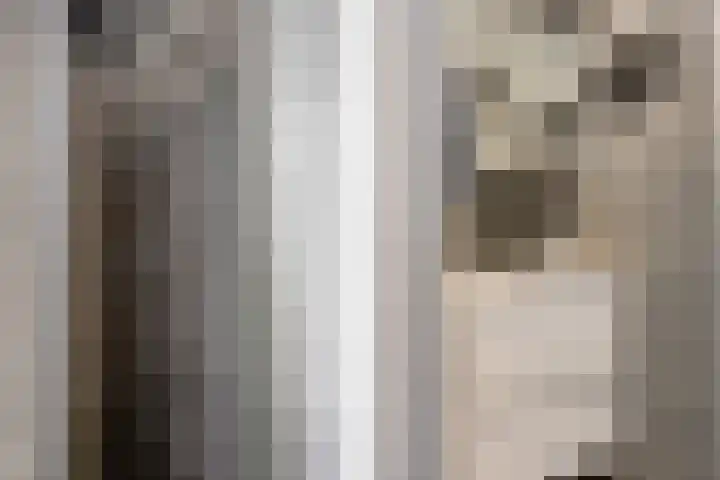 Martin Luther Kinglaan 460 Diemen thumbnail 37