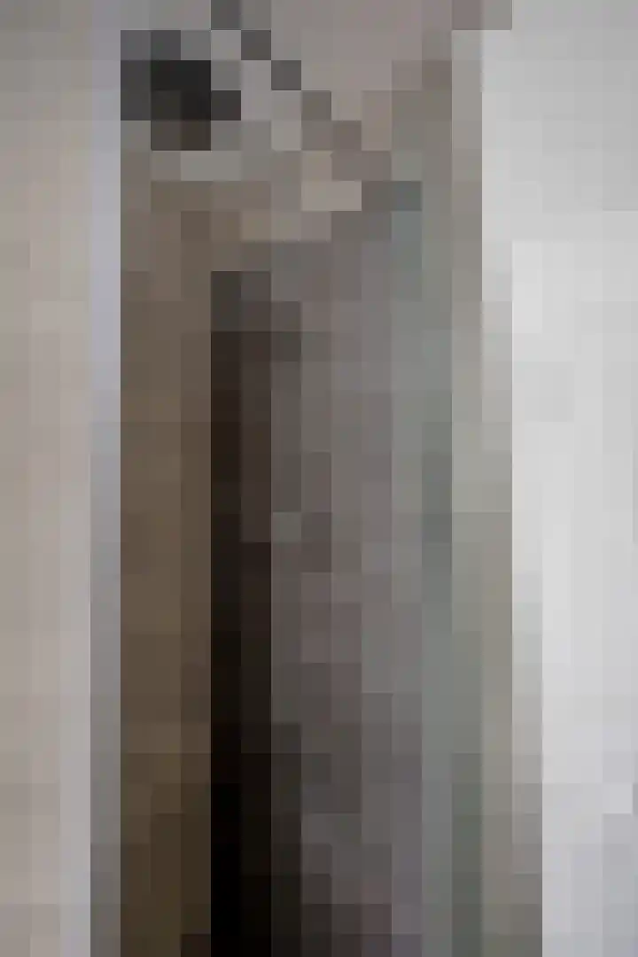 Martin Luther Kinglaan 460 Diemen thumbnail 38