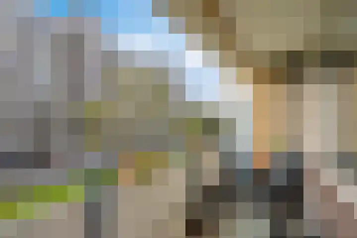 Martin Luther Kinglaan 460 Diemen thumbnail 40