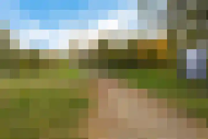 Martin Luther Kinglaan 460 Diemen thumbnail 43