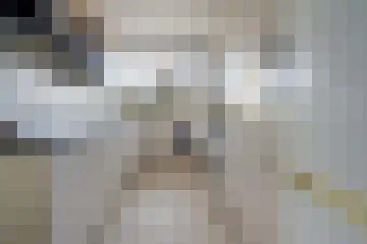 Martin Luther Kinglaan 460 Diemen thumbnail 5