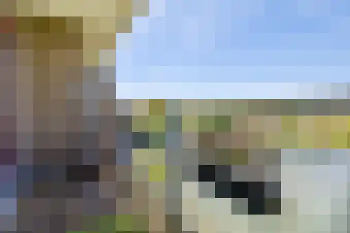 Martin Luther Kinglaan 496 Diemen thumbnail 15