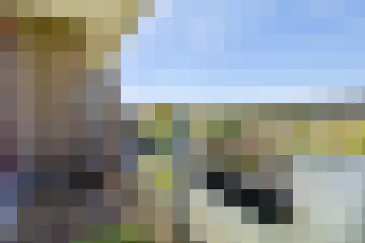 Martin Luther Kinglaan 496 Diemen thumbnail 4