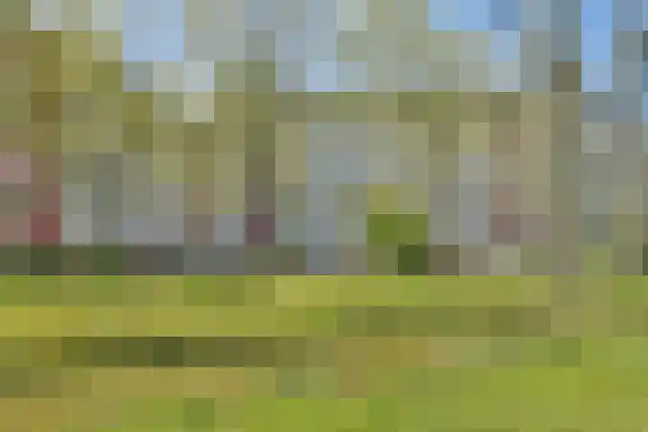 Martin Luther Kinglaan 496 Diemen thumbnail 6