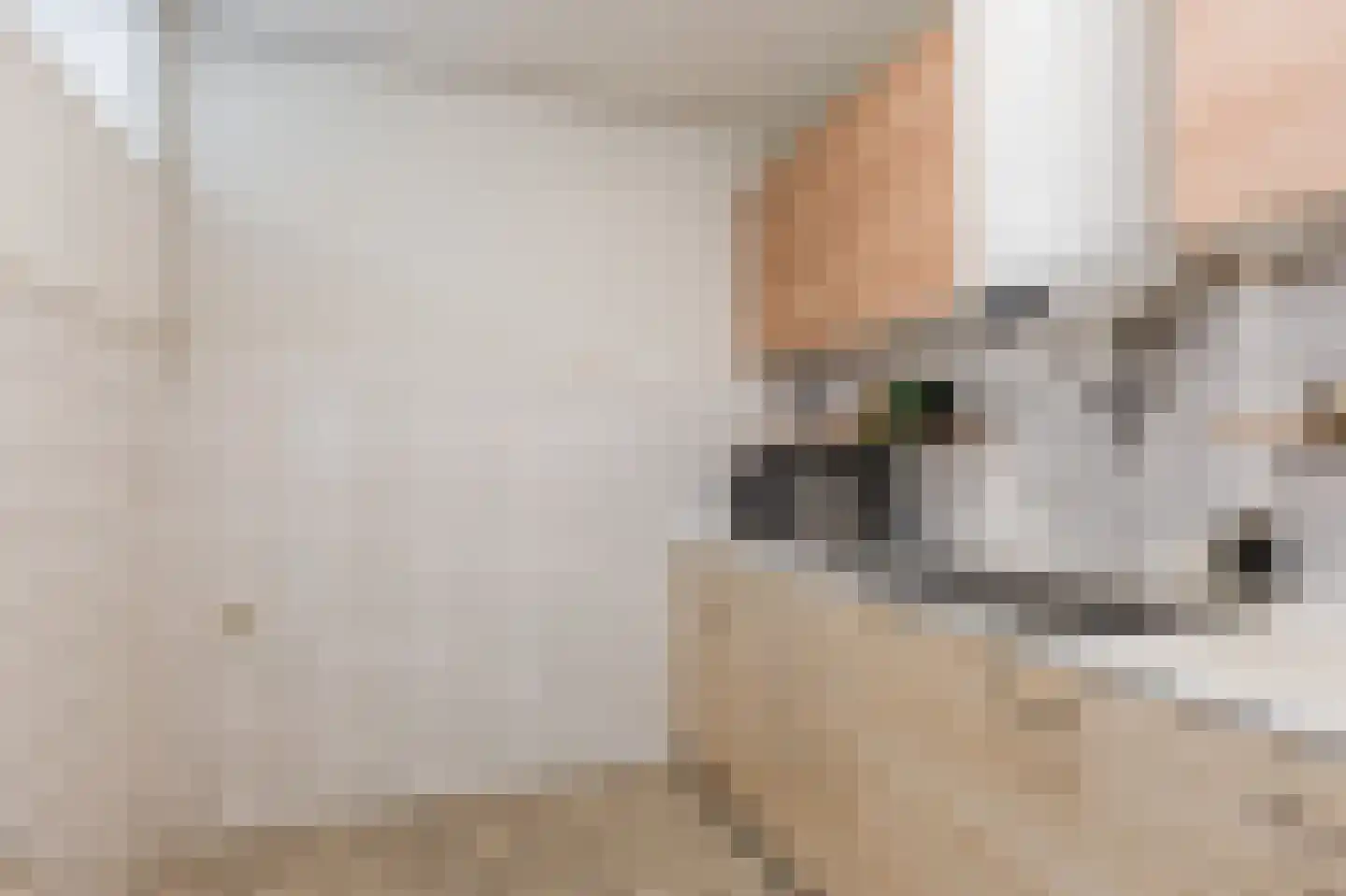 Martin Luther Kinglaan 510 Diemen thumbnail 15