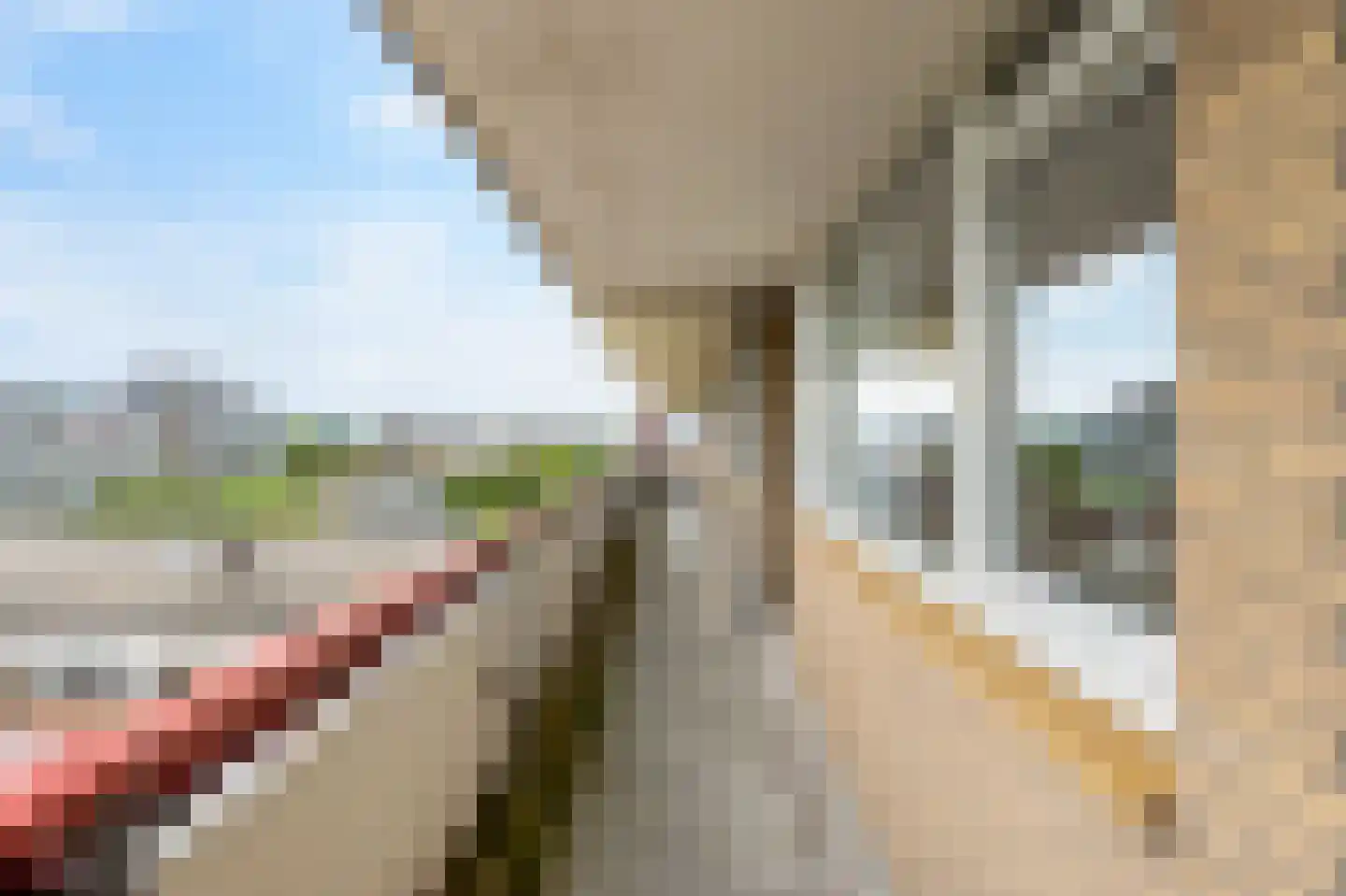 Martin Luther Kinglaan 522 Diemen thumbnail 32