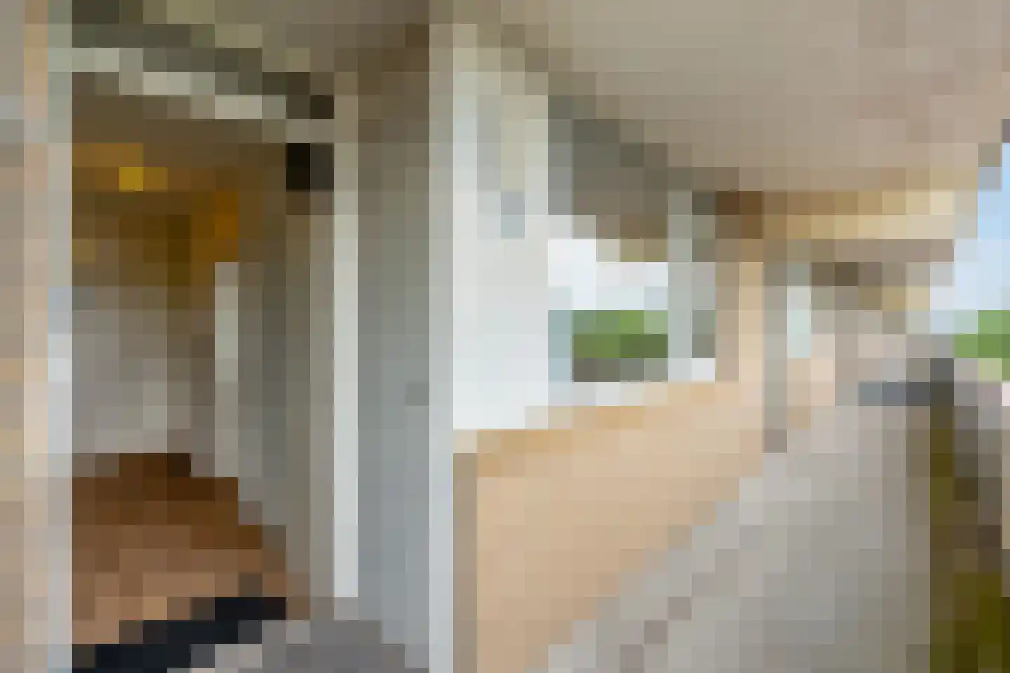 Martin Luther Kinglaan 522 Diemen thumbnail 33