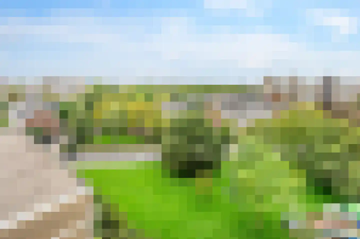 Martin Luther Kinglaan 522 Diemen thumbnail 37