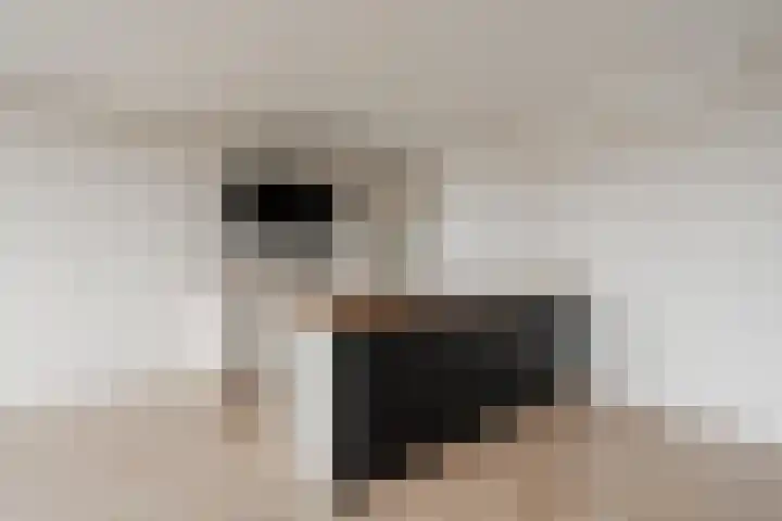 Martin Luther Kinglaan 524 Diemen thumbnail 15