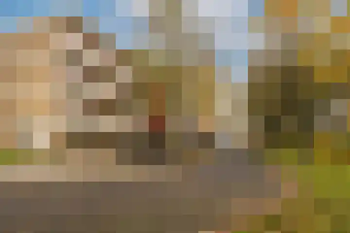 Martin Luther Kinglaan 524 Diemen thumbnail 37