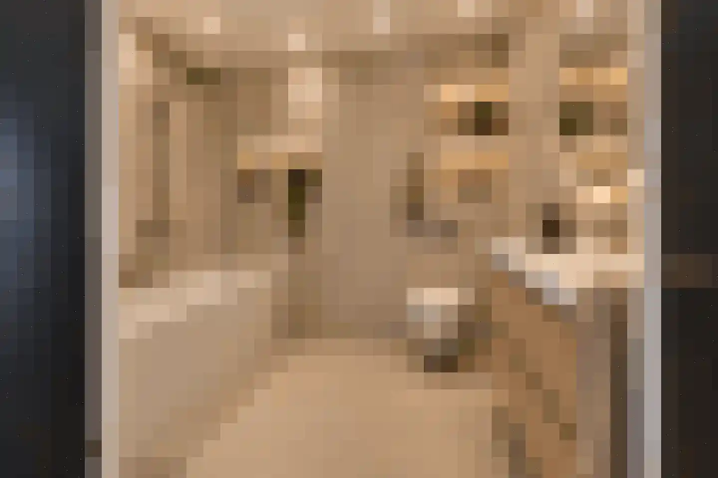 Martin Luther Kinglaan 580 Diemen thumbnail 13