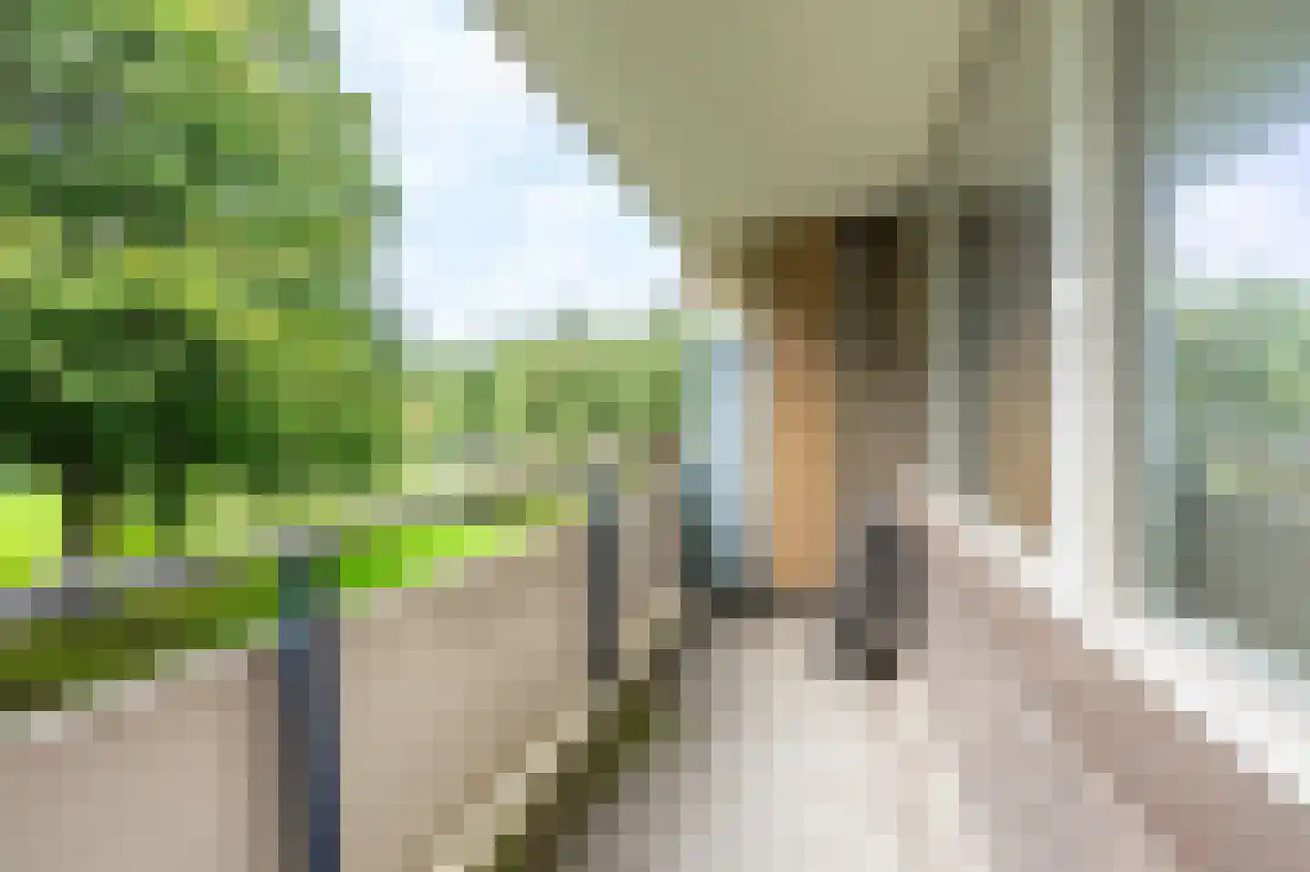 Martin Luther Kinglaan 580 Diemen thumbnail 33