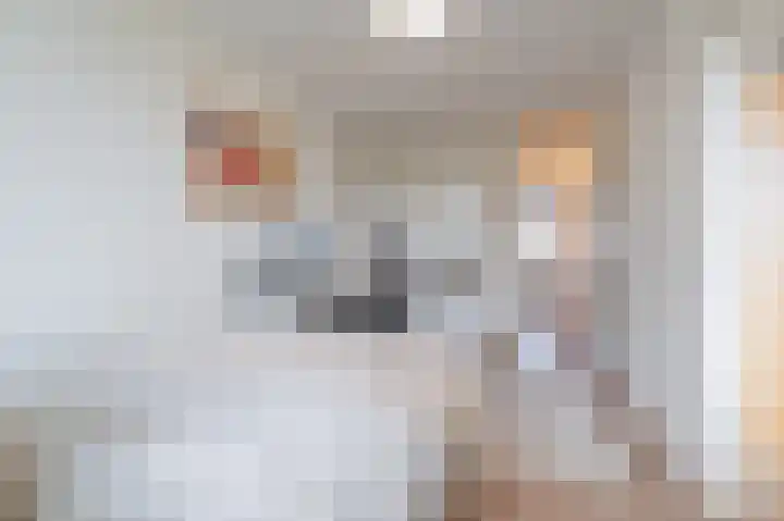 Martin Luther Kinglaan 584 Diemen thumbnail 18