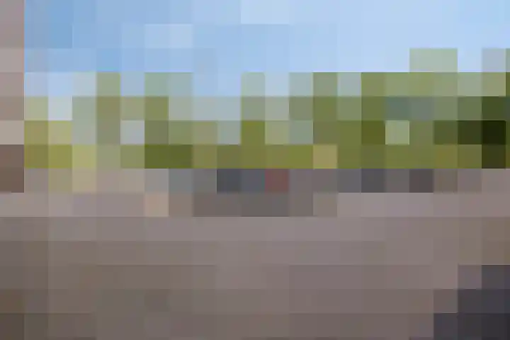 Martin Luther Kinglaan 606 Diemen thumbnail 26