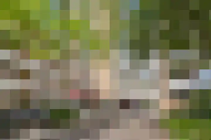Martin Luther Kinglaan 606 Diemen thumbnail 34