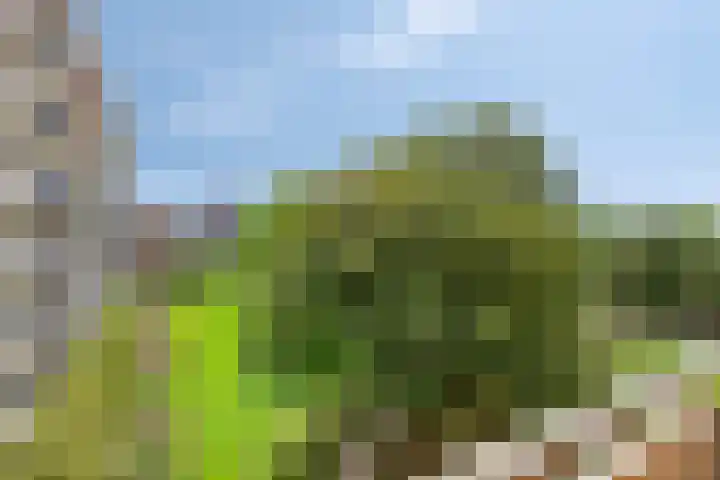 Martin Luther Kinglaan 606 Diemen thumbnail 6