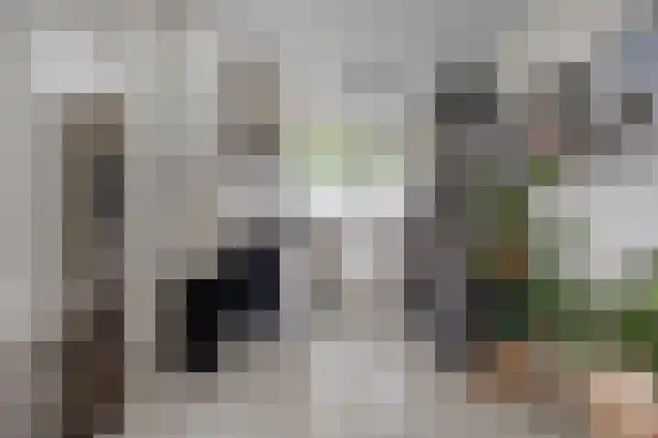 Martin Luther Kinglaan 606 Diemen thumbnail 8