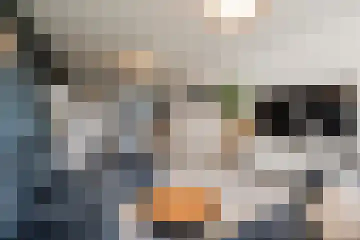 Martin Luther Kinglaan 64 Diemen thumbnail 13