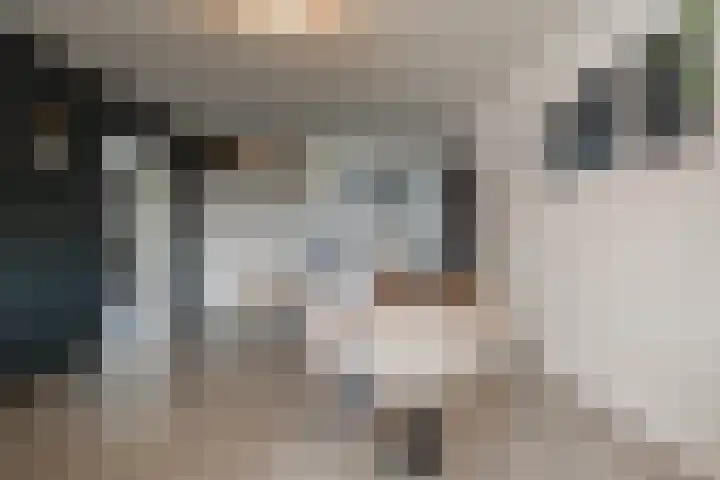 Martin Luther Kinglaan 64 Diemen thumbnail 14