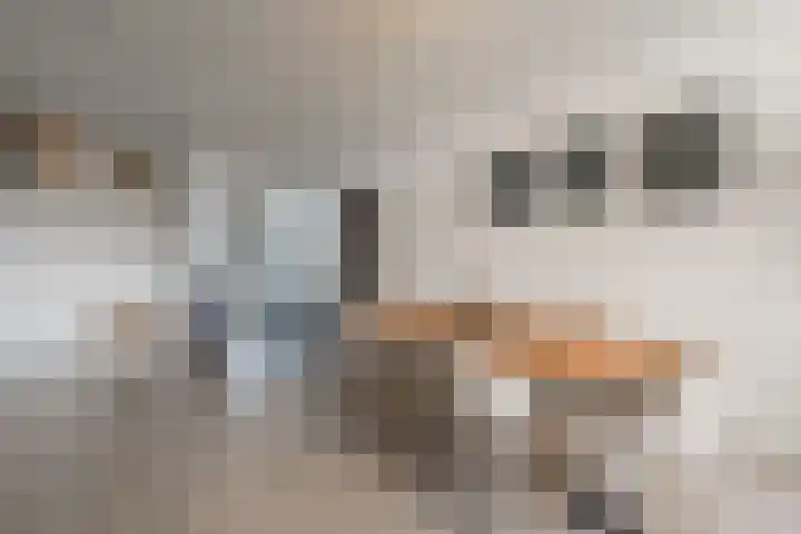 Martin Luther Kinglaan 64 Diemen thumbnail 16