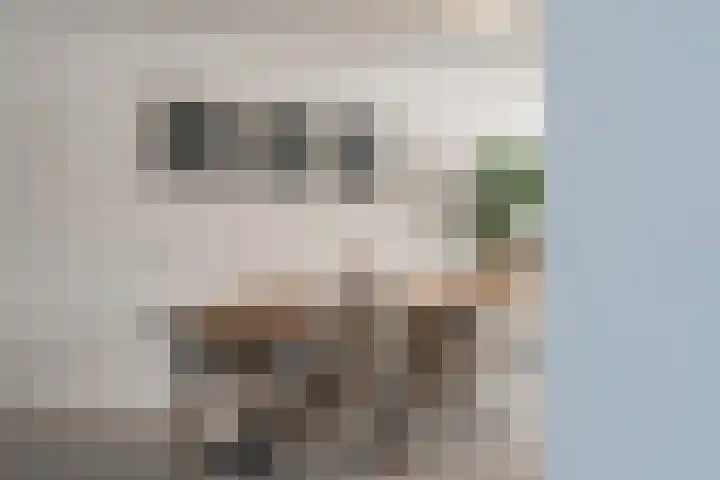 Martin Luther Kinglaan 64 Diemen thumbnail 17