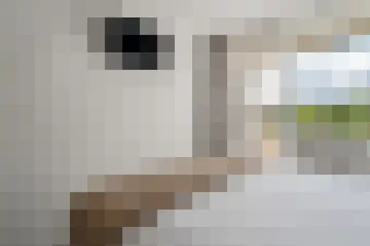 Martin Luther Kinglaan 64 Diemen thumbnail 30