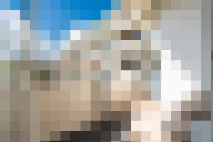 Martin Luther Kinglaan 64 Diemen thumbnail 34