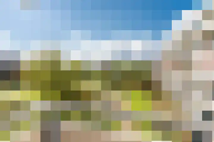 Martin Luther Kinglaan 64 Diemen thumbnail 35