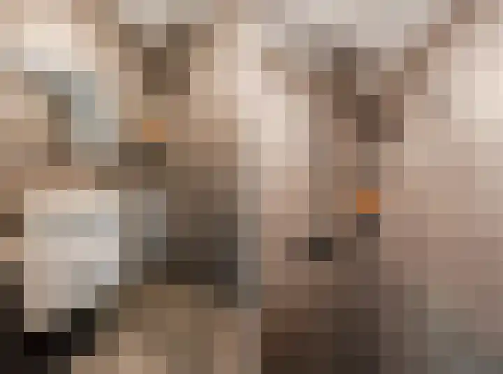 Martin Luther Kinglaan 64 Diemen thumbnail 40