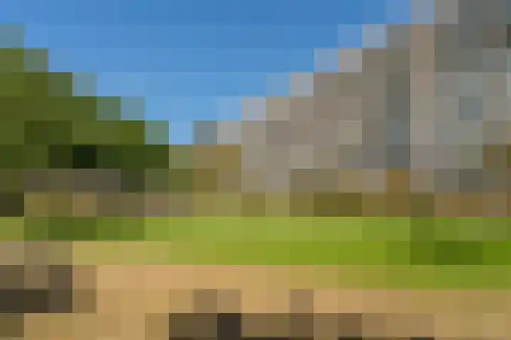 Martin Luther Kinglaan 64 Diemen thumbnail 46