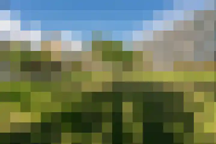Martin Luther Kinglaan 64 Diemen thumbnail 47