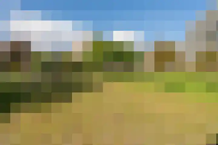 Martin Luther Kinglaan 64 Diemen thumbnail 48