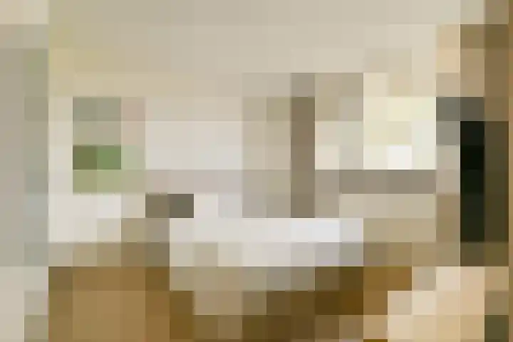Martin Luther Kinglaan 70 Diemen thumbnail 18