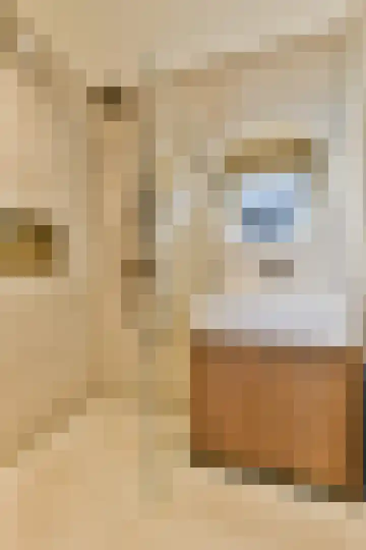Martin Luther Kinglaan 70 Diemen thumbnail 21