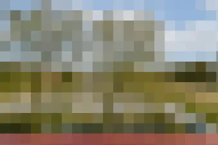 Martin Luther Kinglaan 70 Diemen thumbnail 34