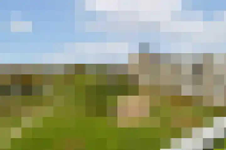Martin Luther Kinglaan 70 Diemen thumbnail 4