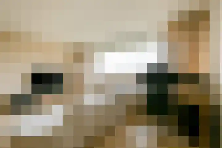 Martin Luther Kinglaan 70 Diemen thumbnail 7