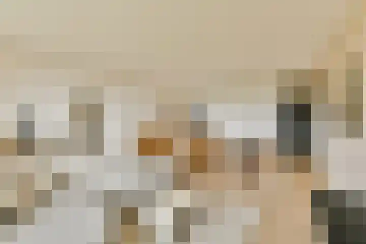 Martin Luther Kinglaan 70 Diemen thumbnail 8