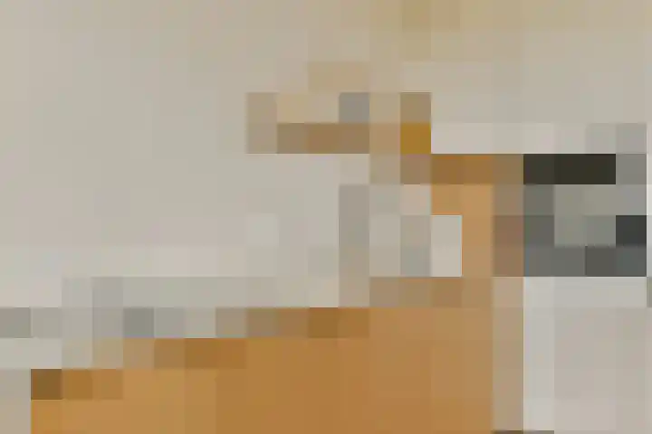 Martin Luther Kinglaan 70 Diemen thumbnail 9