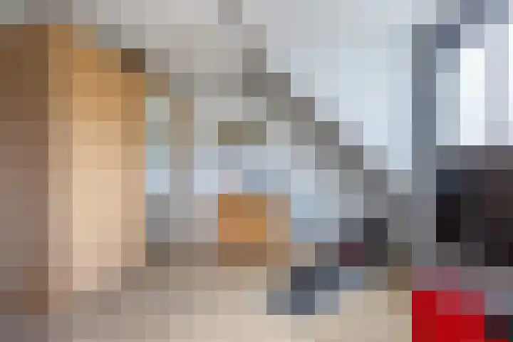 Martin Luther Kinglaan 74 Beverwijk thumbnail 18
