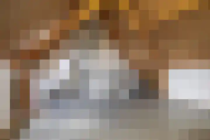 Martin Luther Kinglaan 74 Beverwijk thumbnail 25