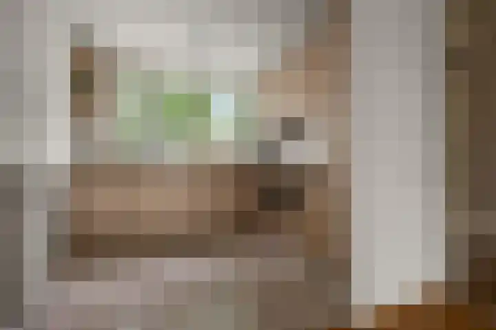Martin Luther Kinglaan 77 Castricum thumbnail 10