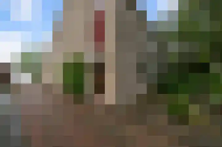 Martin Luther Kinglaan 77 Castricum thumbnail 30