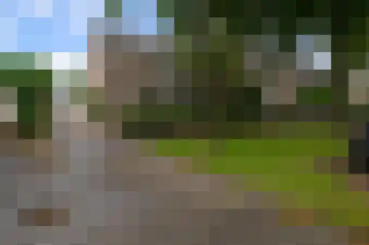 Martin Luther Kinglaan 77 Castricum thumbnail 32