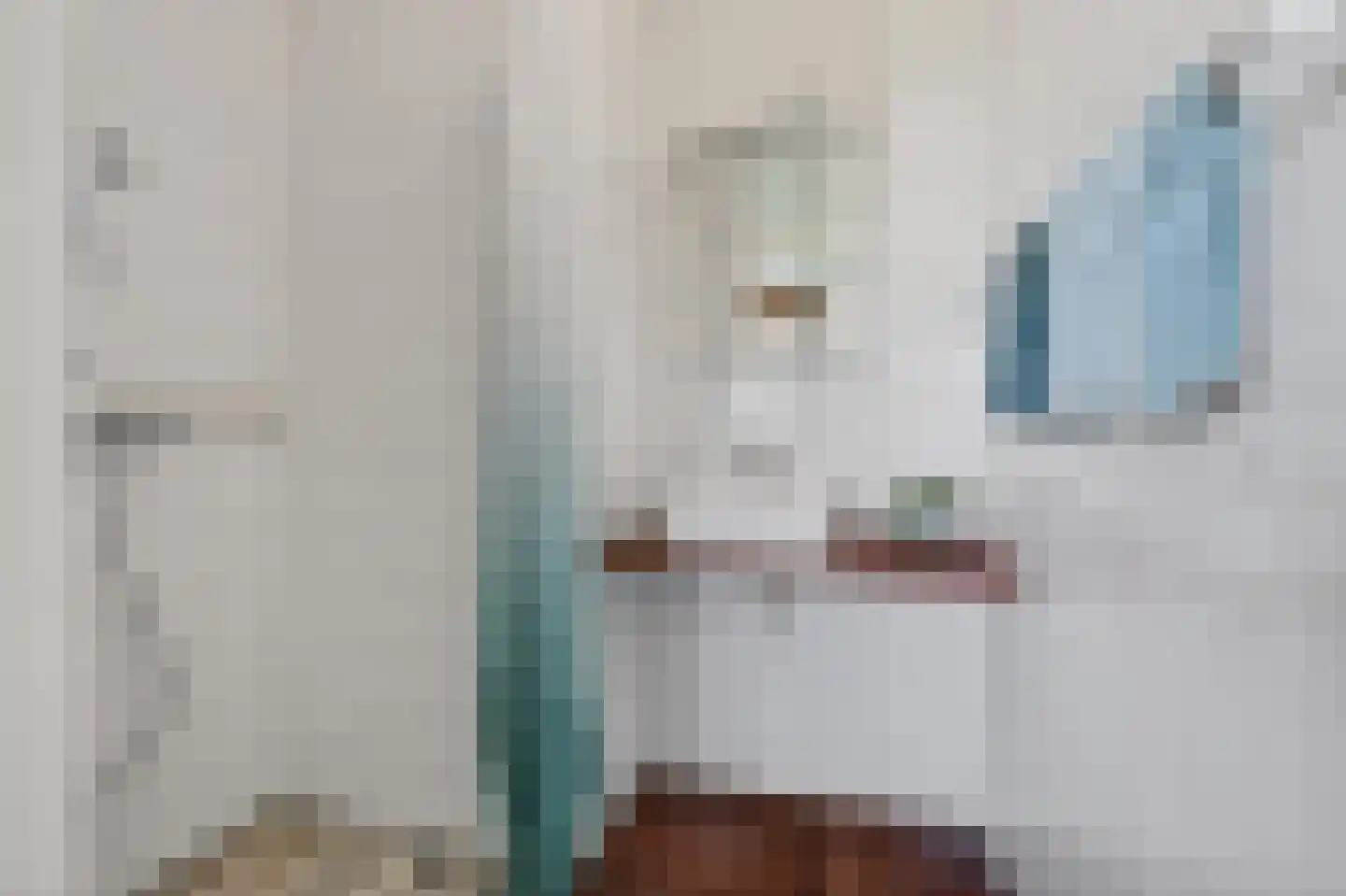 Martin Luther Kinglaan 98 Diemen thumbnail 15